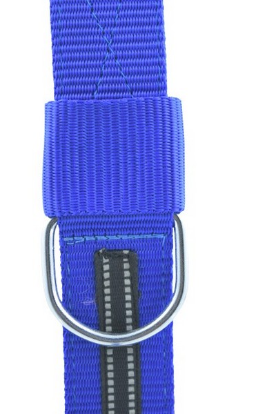 Waago Nylon Collar (1.5 inch X 69 cm) Blue