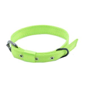 Waago Polyester Collar with Nickle Fitting 1 inch, 50 cm length, Green
