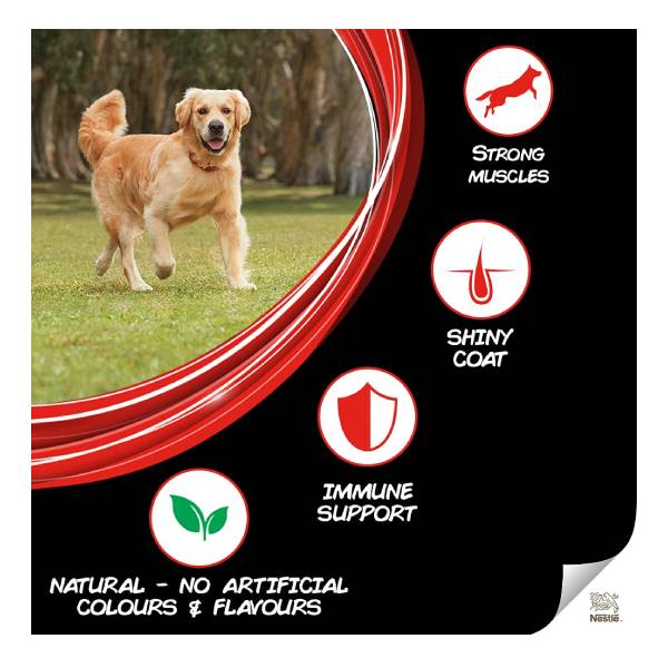PURINA SUPERCOAT Adult Dry Dog Food, Chicken- 10Kg