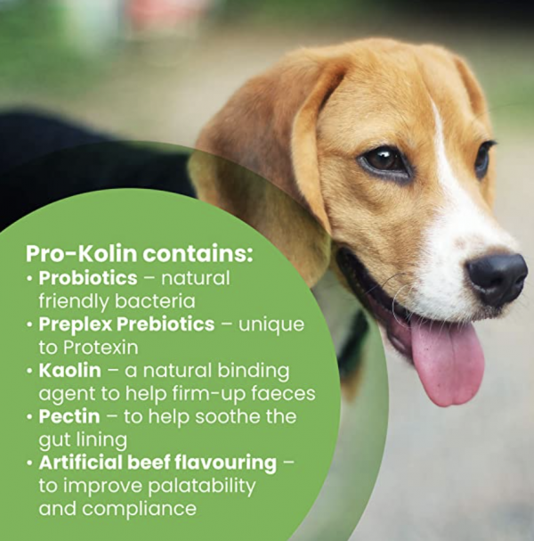 Pro-Kolin + Probiotic paste for digestive support