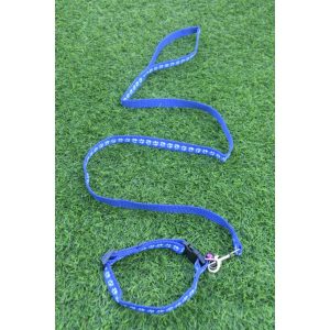 Waago Nylon Leash And Collar For Small Dog, 10 Mm, 4.5 Ft