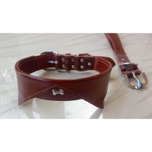 Waago Leather Smart Dog Collar-(Size- 1.25 Inch)