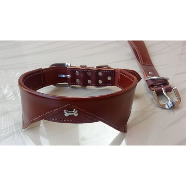 Waago Leather Smart Dog Collar-(Size- 1.5 Inch)