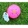 Waago Sound Round Ball Toy For Medium Size Dogs, Medium