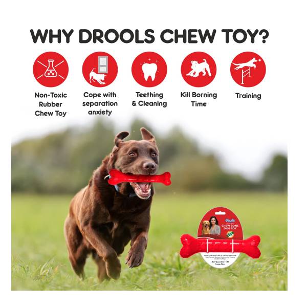 Drools Dog Chew Bone Teething Toy For Dog , Large Size, 8.5 inches