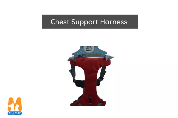 Chest Support Harness