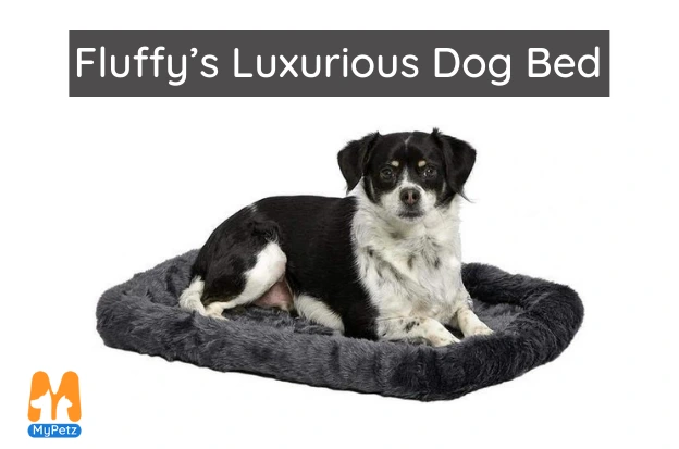 dog beds online 