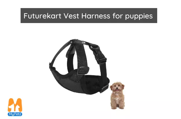 Futurekart Vest Harness for puppies