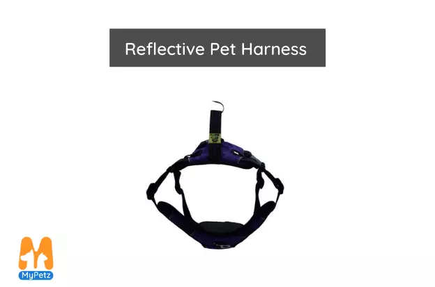 Reflective Pet Harness