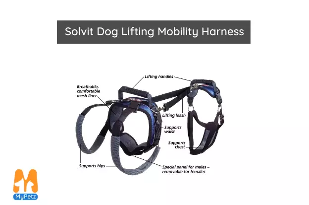 Solvit Dog Lifting Mobility Harness