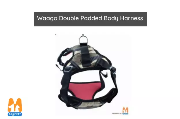 Waago Double Padded Body dog Harness