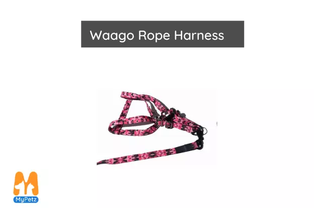 Waago Rope Harness