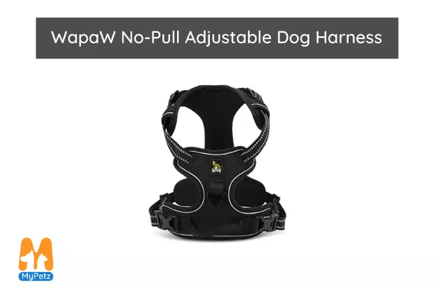 WapaW No-Pull Adjustable Dog Harness