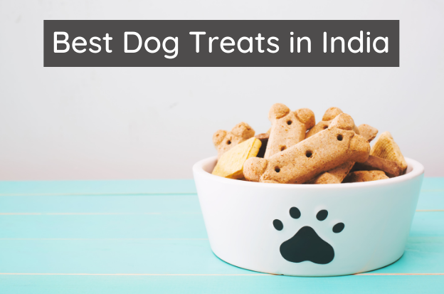 Best Dog Treats in India