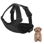 How to choose dog harness