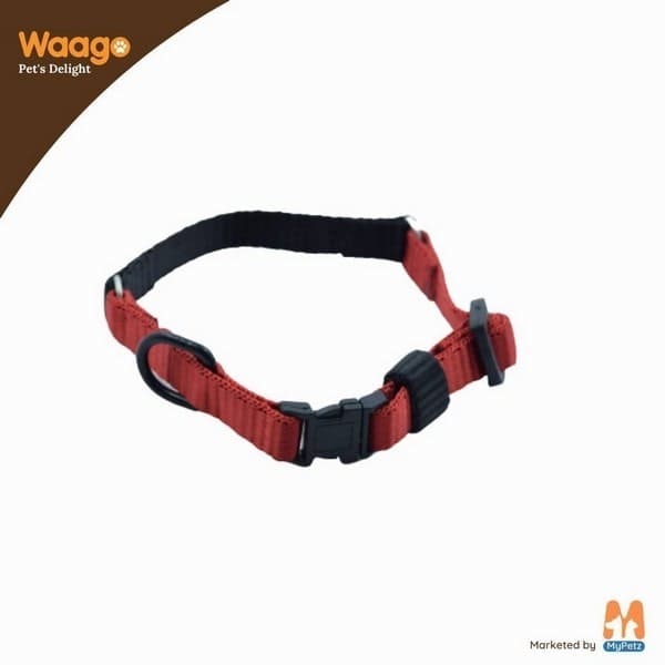10 Best Dog Collars in 2022 MyPetz