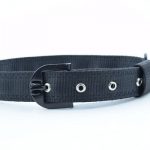 Waago Double Layer Polyester Dog Collar