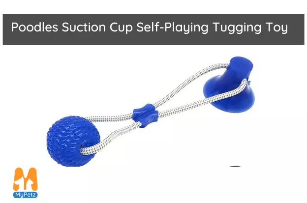 Poodles Suction Cup Self-Playing Tugging Toy
