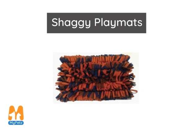 Shaggy Playmats