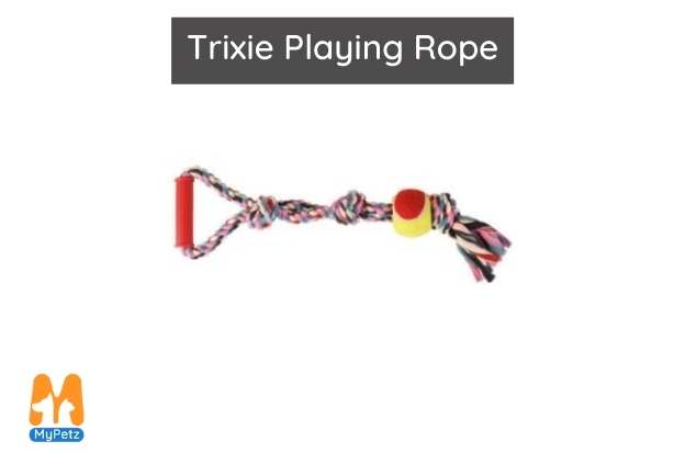 Trixie Playing Rope