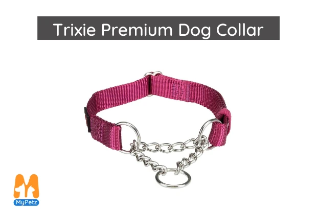 types of dog collars