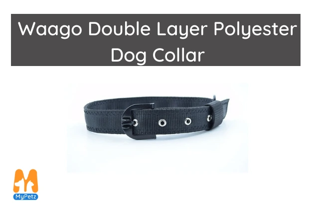 dog collars online