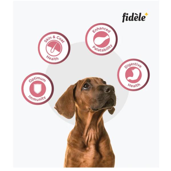 Fidele+ Small & Medium Breed Puppies Dry Dog Food, 3kg