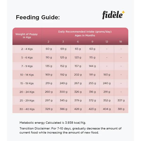 Fidele+ Small & Medium Breed Puppies Dry Dog Food, 1kg