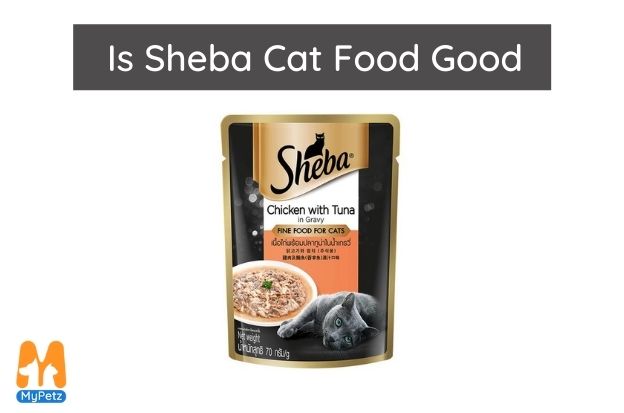 Is Sheba Cat Food Good