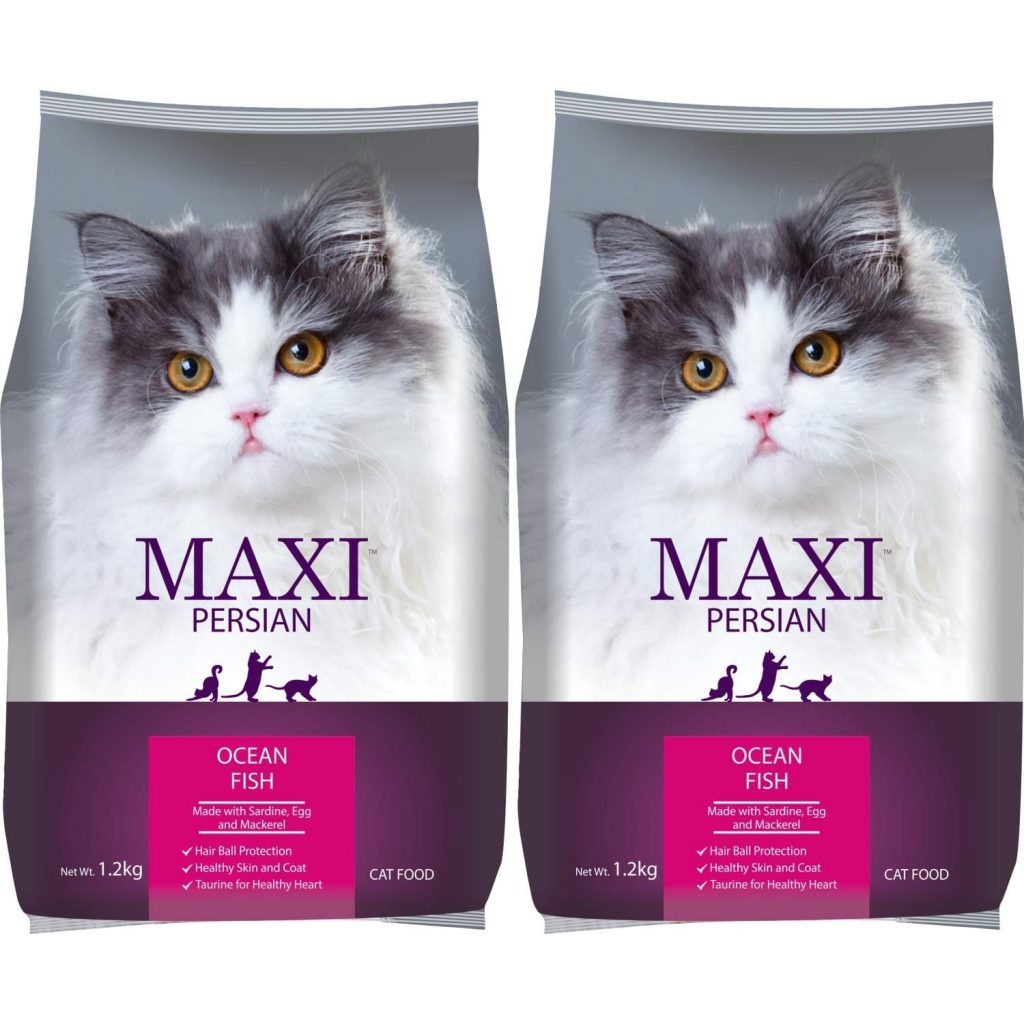Best Foods for Persian Cats in India MyPetz