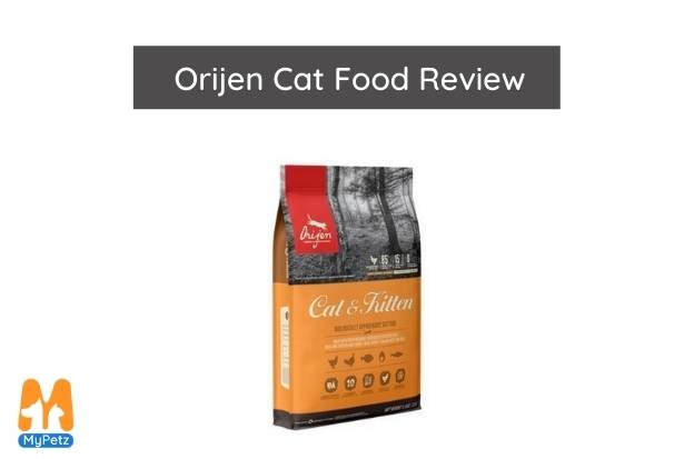 Orijen kitten food clearance review