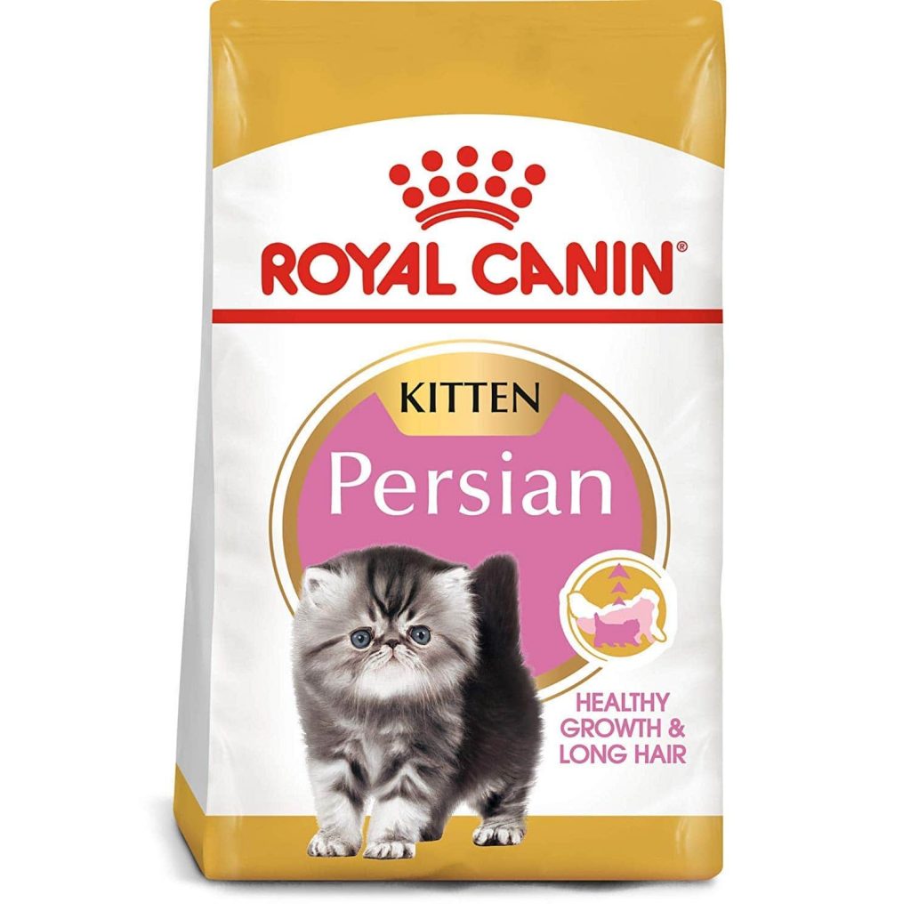 Best Foods for Persian Cats in India - MyPetz