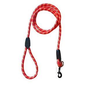 Waago Nylon Leash Rope For Medium and Large Dogs Multicolor, 12 mm, (Red,Blue,Black)
