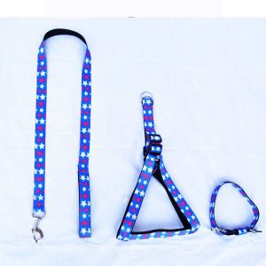 Waago Printed Body Belt,Collar and Leash Set For Medium and Large Dogs, 1.25 inch x 4.5 Ft, Blue