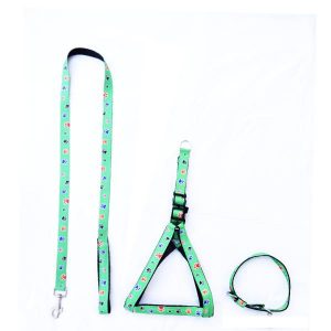 Waago Printed Body Belt,Collar and Leash Set For Small and Medium Dogs, 1 Inch x 4.5 Ft, Green