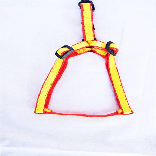 Waago Puppy Adjustable Body Belt Set Multicolor, 115cm