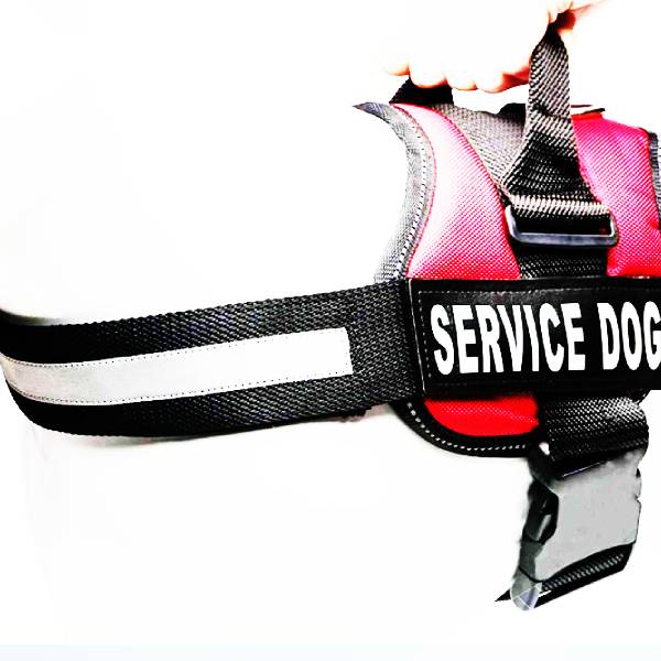 Waago Police K9 Mesh Harness with Adjustable Strap, Size XXL, Pink