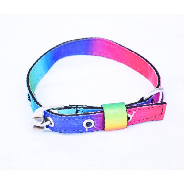 Waago Printed Body Belt,Collar and Leash Set For Small Breed Dogs, 0.75 Inch x 4.5 Ft, Multicolor