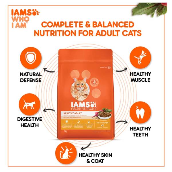 IAMS Proactive Health Chicken Premium Dry Adult Cat Food, 400 gm