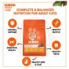 IAMS Proactive Health Chicken and Salmon Dry Food For Adult Cat, 3 Kg