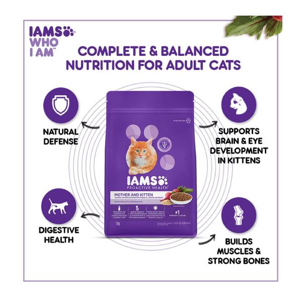 IAMS Proactive Health Chicken Premium Mother and Kitten Cat Dry Food, 3 Kg