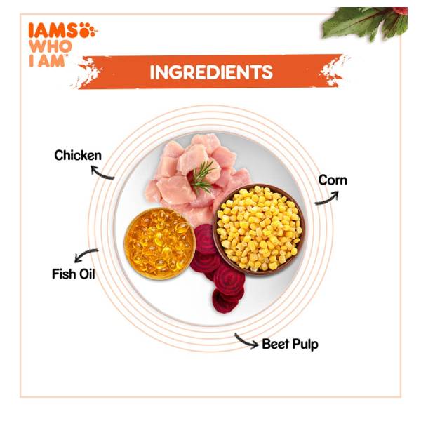 IAMS Proactive Health Chicken Premium Dry Adult Cat Food, 3 kg