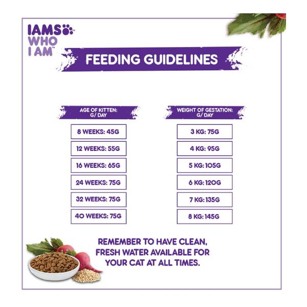 IAMS Proactive Health Chicken Premium Mother and Kitten Cat Dry Food, 400 gm
