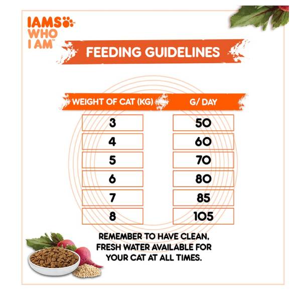 IAMS Proactive Health With Tuna and Salmon Dry Meal For Adult Cat, 3 Kg