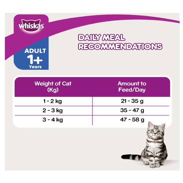 Whiskas Dry Adult Cat Food (1+ Years) Chicken and Salmon Flavour For Healthy Skin and Coat, 1.1 Kg