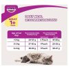 Whiskas Dry Cat Food for Adult Cats (1+ Years), Grilled Saba Flavour, 1.2 Kg