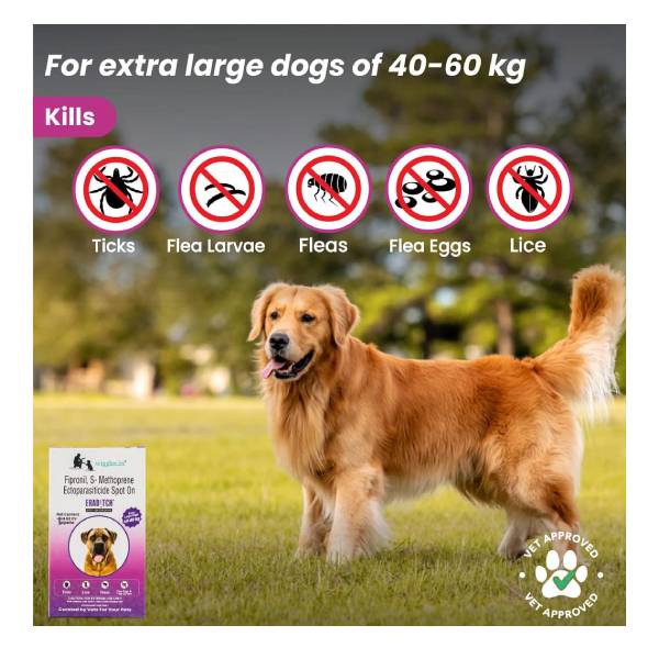 Wiggles Eraditch Spot On For Extra Large Dogs (40-60kg), (To Eradicate Ticks,Fleas,Chewing Lice)