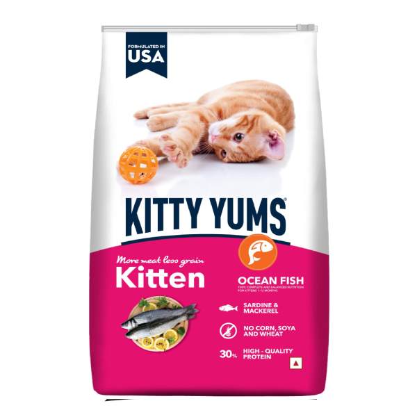 Kitty Yums Kitten Dry Ocean Fish Food, 1.2 Kg