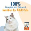 Kitty Yums Adult Cat Dry Ocean Fish Food, 1.2 Kg