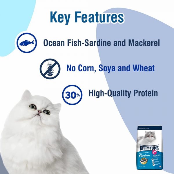 Kitty Yums Dry Persian Ocean Fish Cat Food, 3 Kg